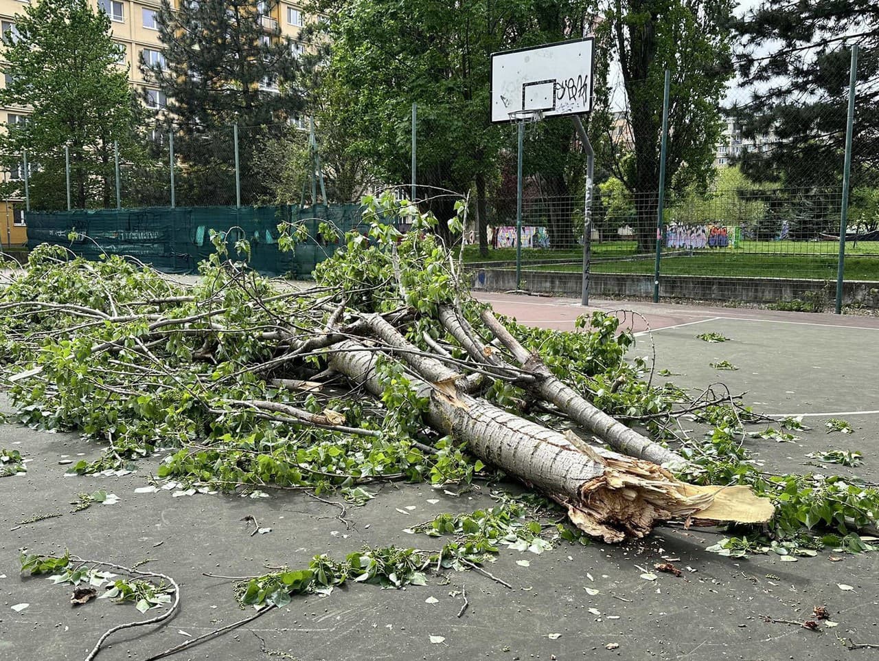 Búrky, blesky, krúpy ako loptičky a teraz aj záplavy: Počasie v Európe sa úplne zbláznilo, Slovensko zasiahol vietor